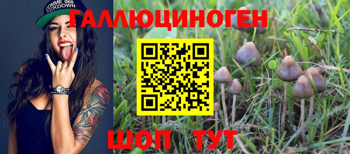 Псилоцибиновые грибы GOLDEN TEACHER  Вход с VPN  Феодосия 